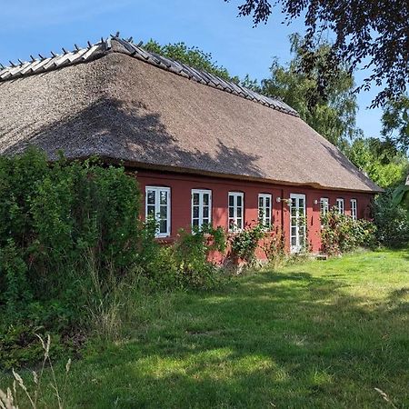 Under Valnodden Bed & Breakfast Stubbekøbing Екстериор снимка
