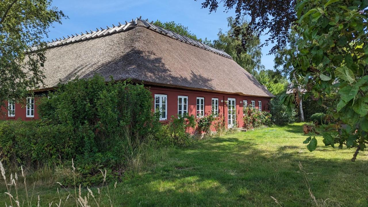 Under Valnodden Bed & Breakfast Stubbekøbing Екстериор снимка