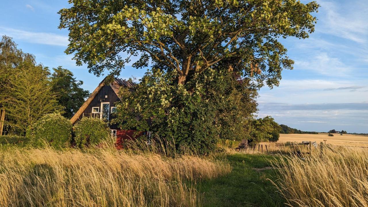Under Valnodden Bed & Breakfast Stubbekøbing Екстериор снимка